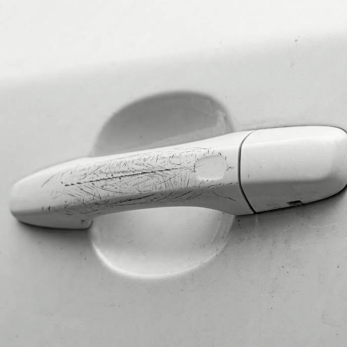 NanoPolix image